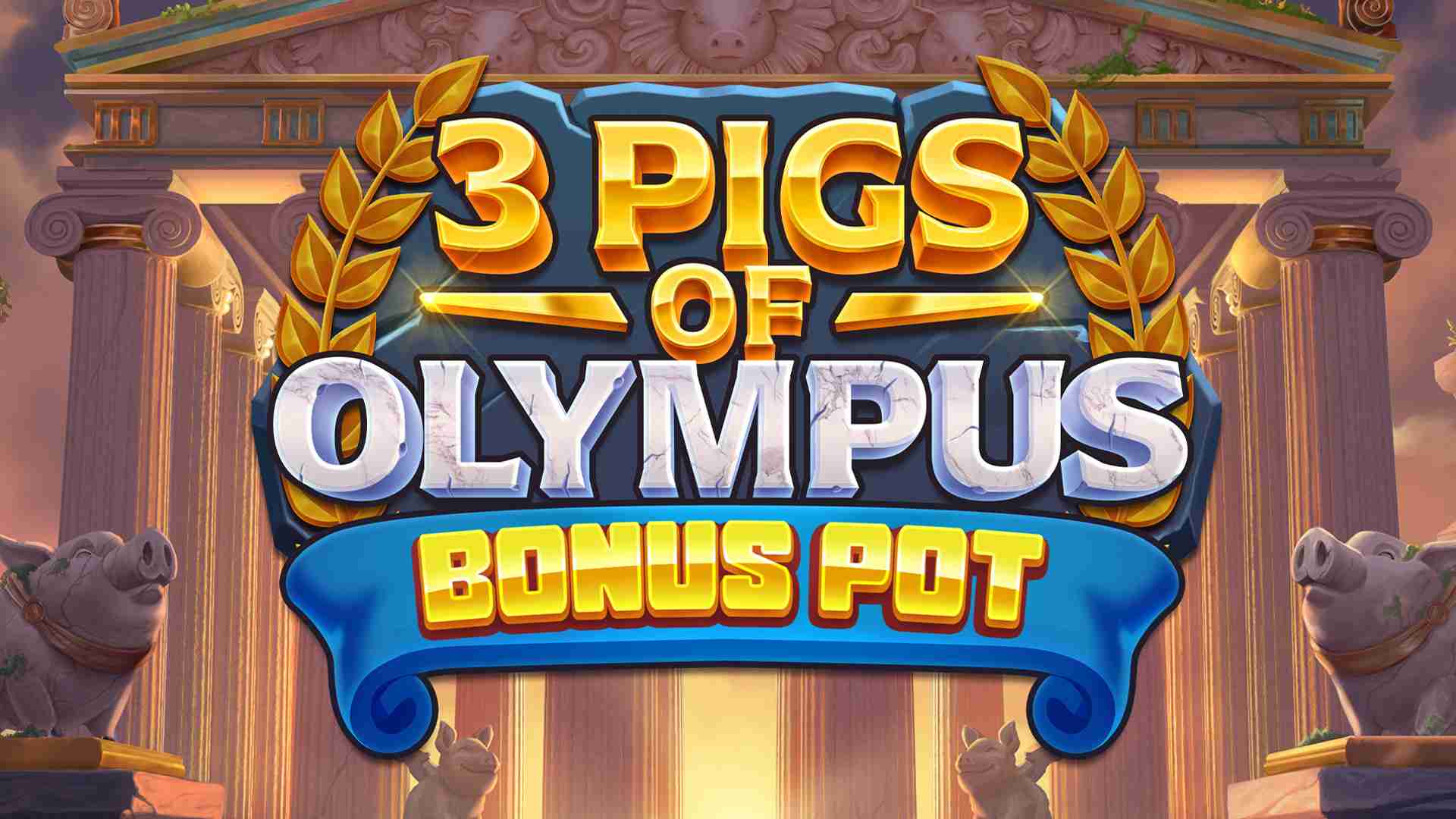 plataforma 8143. com