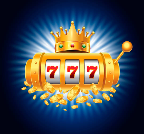 plataforma 8143. com