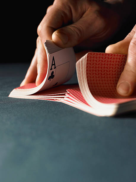 plataforma 8143. com